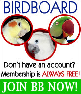 join-bird-board1.jpg
